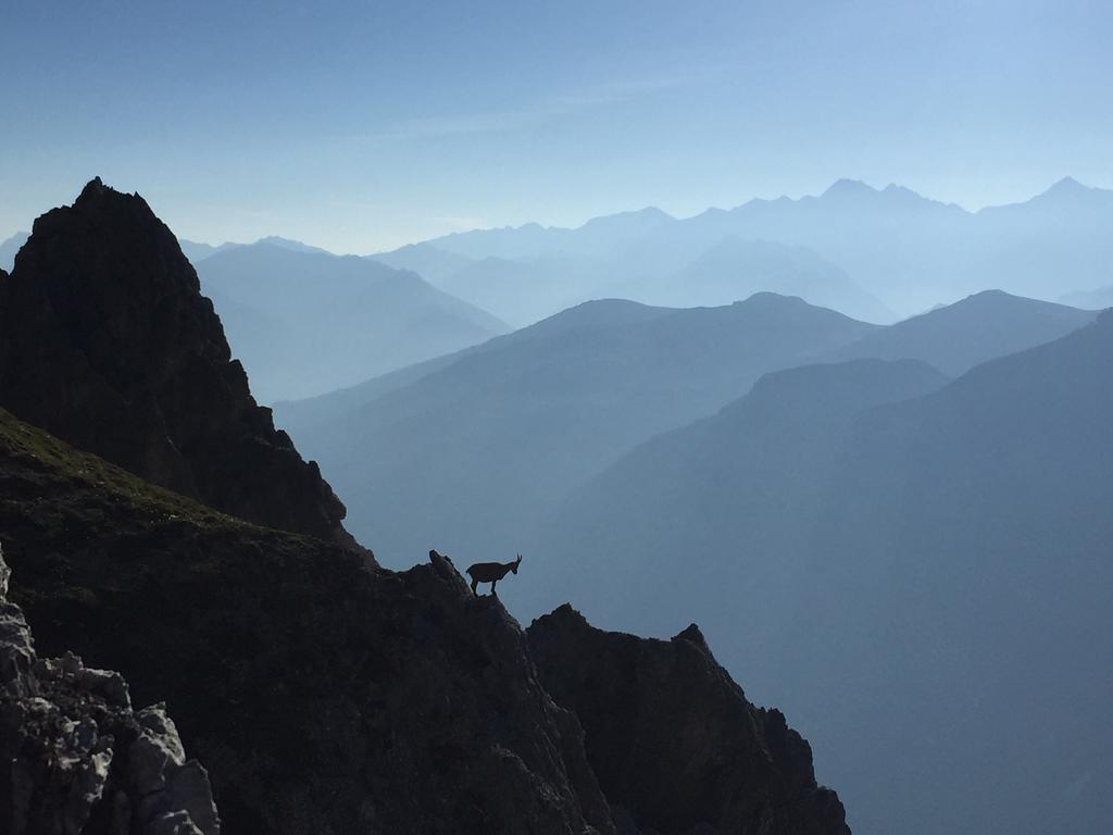 Alpenhaus Monte Hotell Neustift im Stubaital Exteriör bild